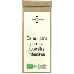 QUERELLES INTESTINES