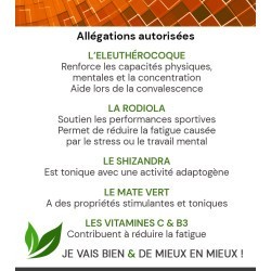 GLOBAL ENERGY