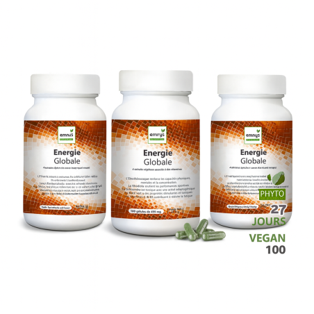 PACK ENERGIE GLOBALE X3