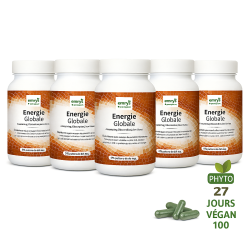 PACK ENERGIE GLOBALE X5