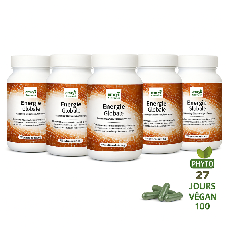 PACK ENERGIE GLOBALE X5