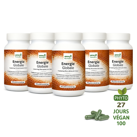 PACK ENERGIE GLOBALE X5