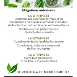 GREEN ANGEL STATI UNITI
