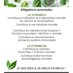 GREEN ANGEL UNIDOSES