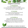 GREEN ANGEL STATI UNITI