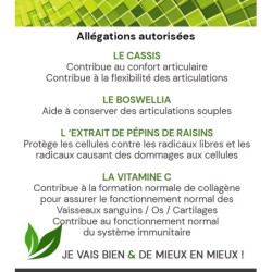 PACK ARTICULAR CONFORT