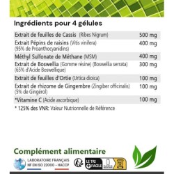PACK ARTICULAR CONFORT