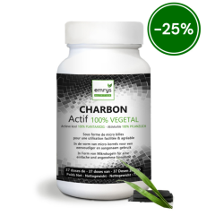 CHARBON DE BOIS ACTIF